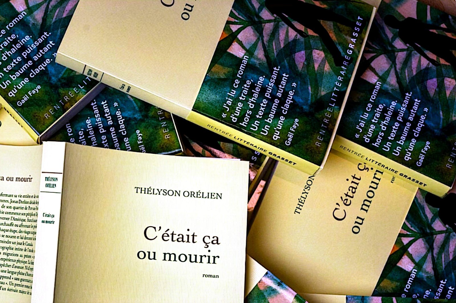 Le roman de Thélyson Orélien retiré de la sélection du prix Goncourt